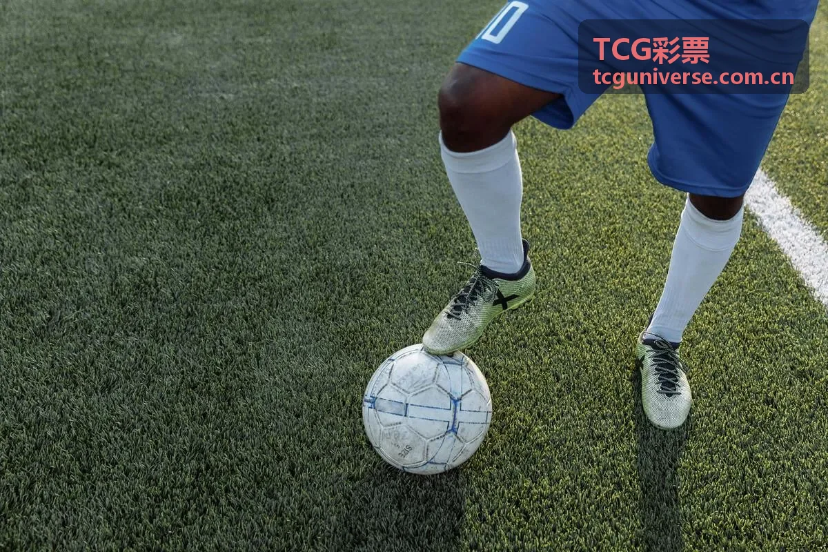 TCG彩票移动端安全投注
